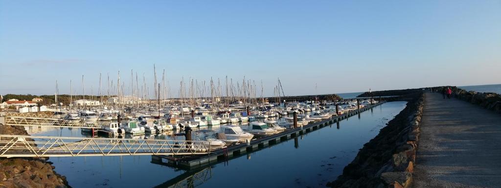 Appartement l'Archipel - Vue mer exceptionnelle photo 3