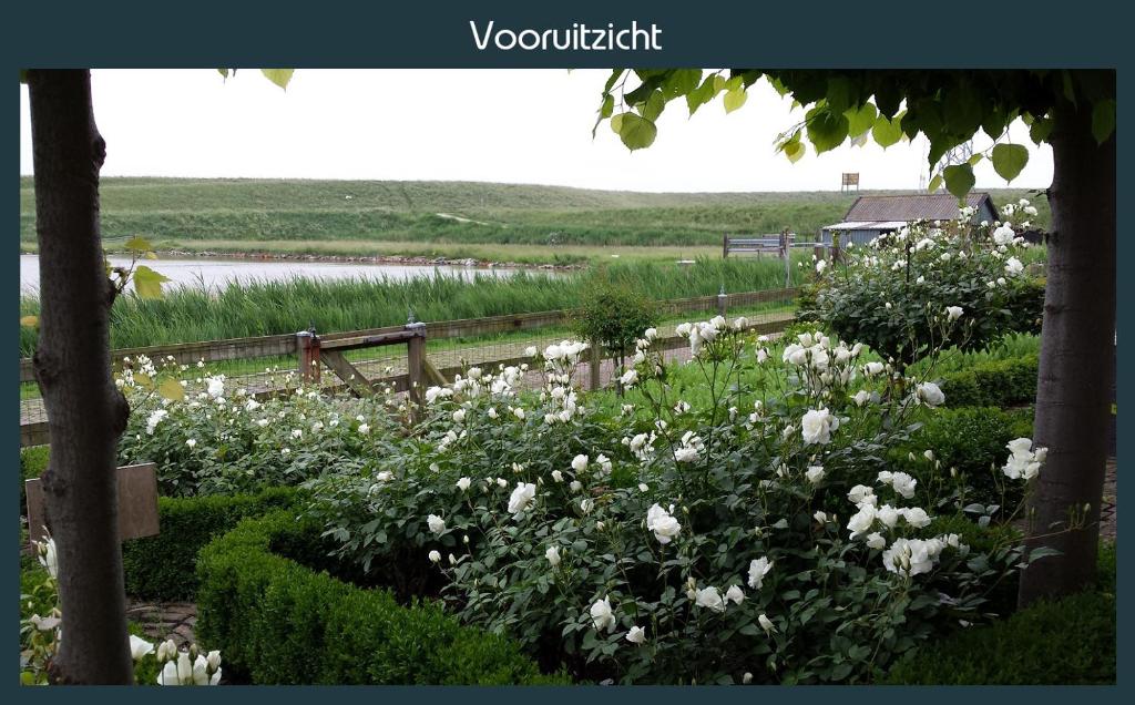 Vakantiewoning Deltahof photo 4