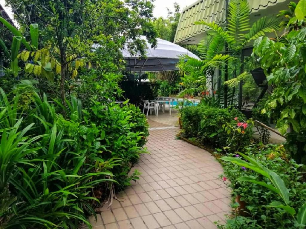 Terrace Hotel photo 1