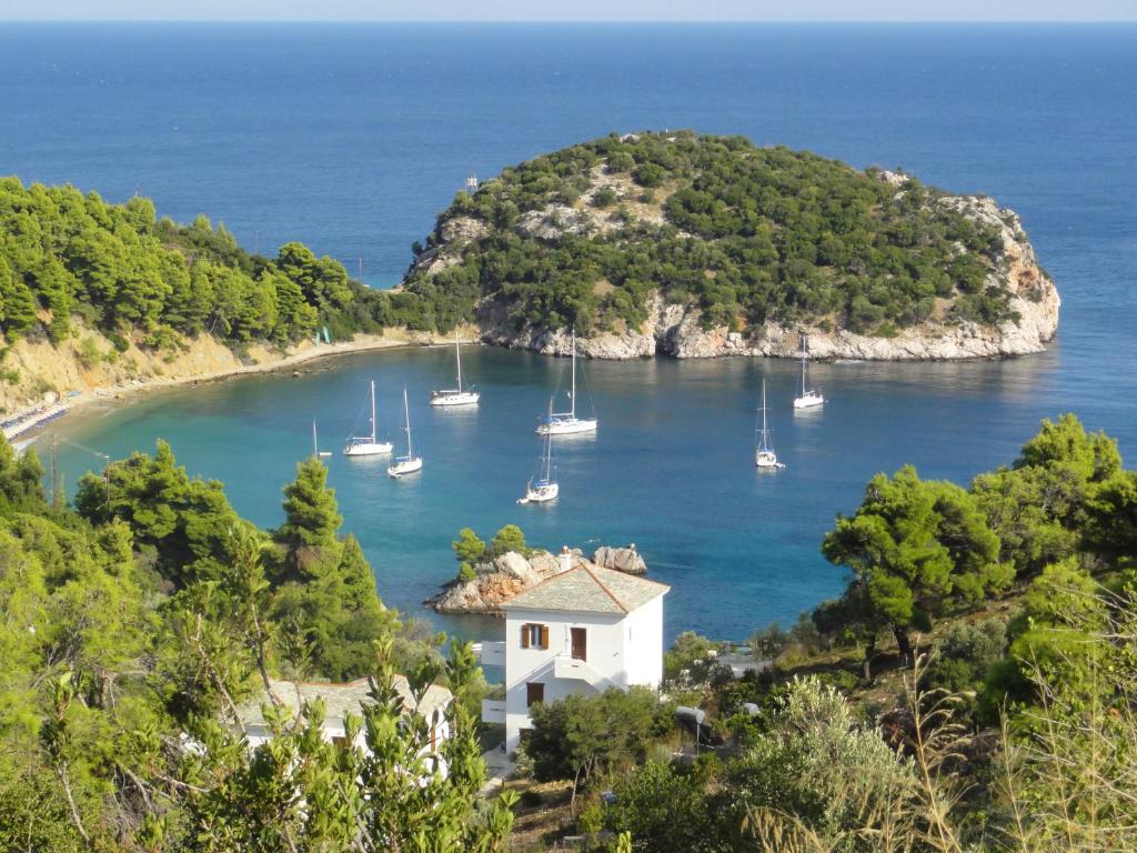 Stafylos Suites & Boutique hotel photo 3