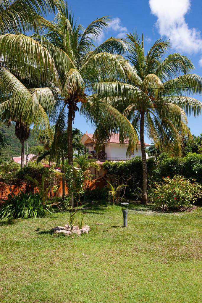 Номер (Шале с 3 спальнями), Kot Babi