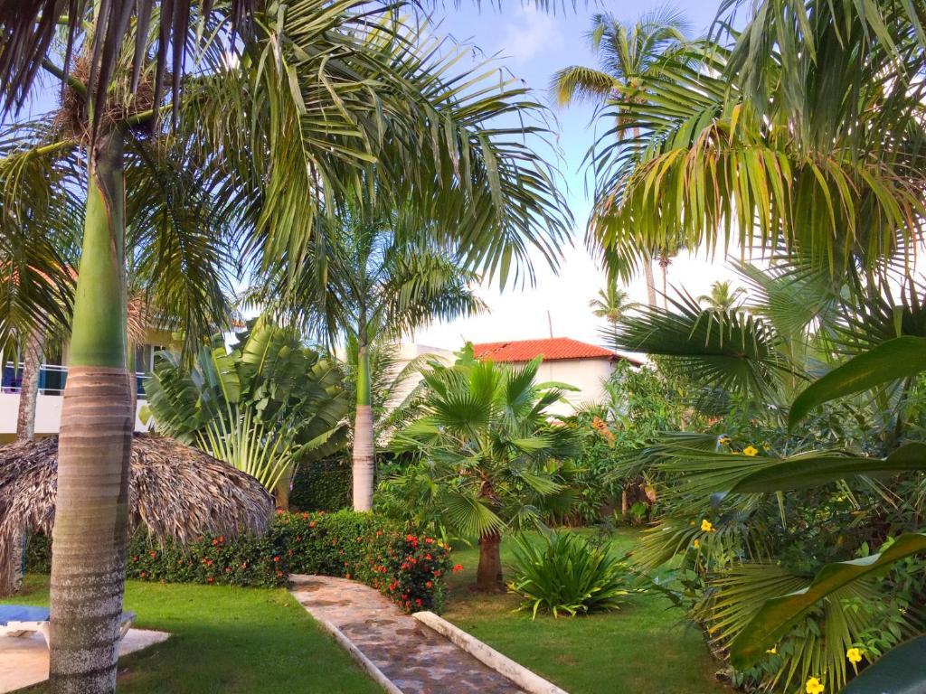 Las Galeras Hotel photo 2