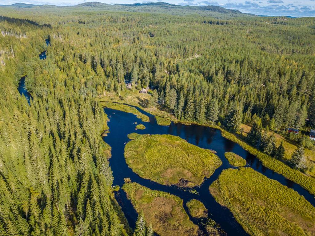 The Old Logging Camp photo 4