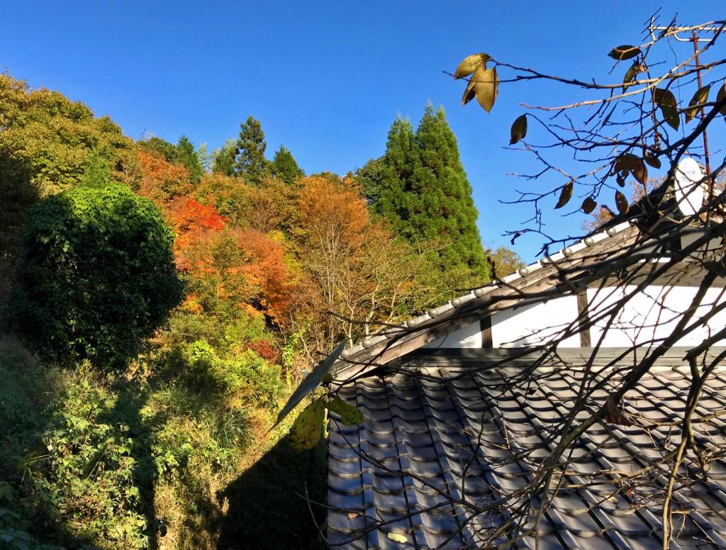 Yamatosaryo photo 2