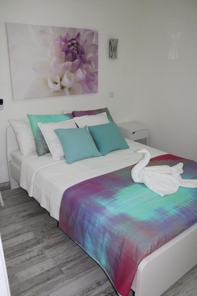 Solymar Las Olas photo 1