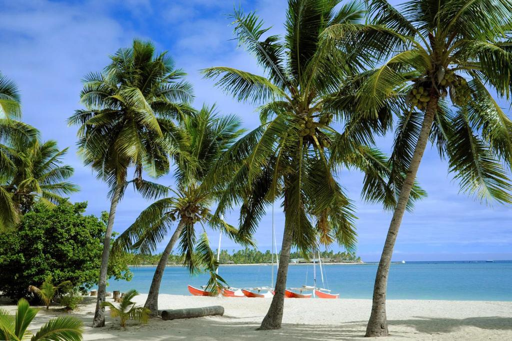Musket Cove Island Resort photo 3