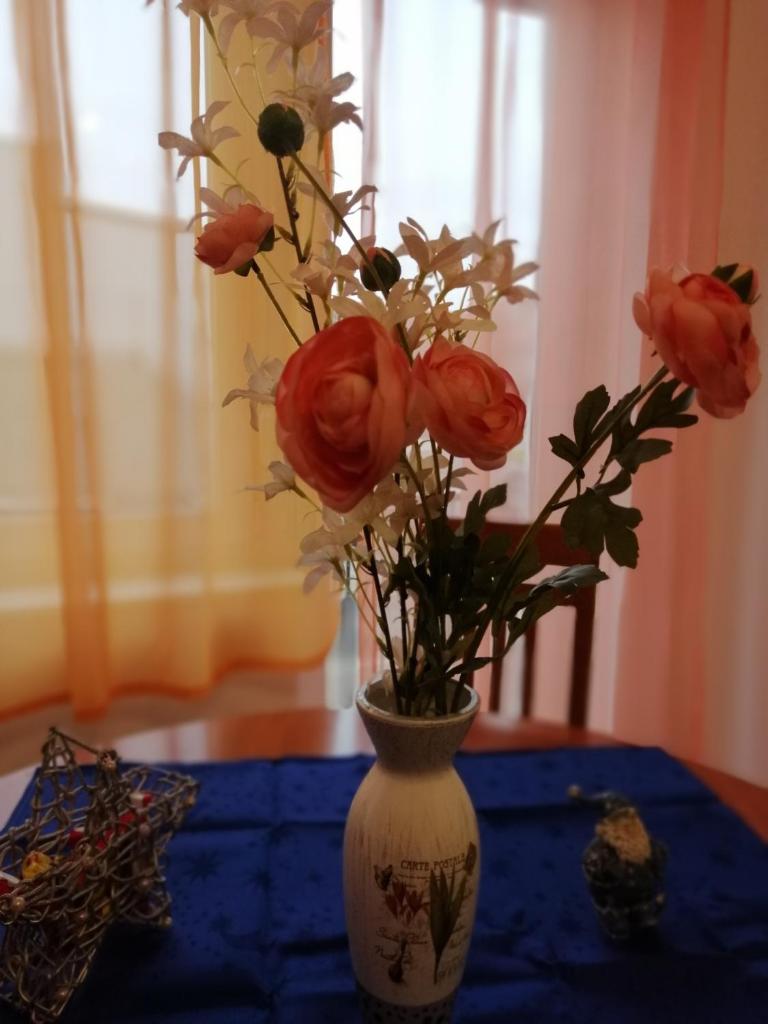 APARTMAN NENA photo 1