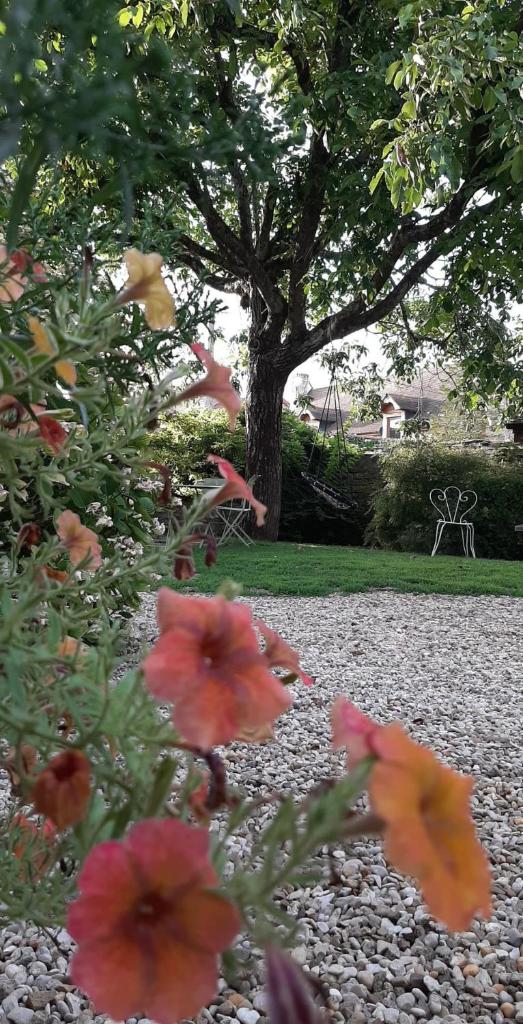 La Cuverie du Château photo 3