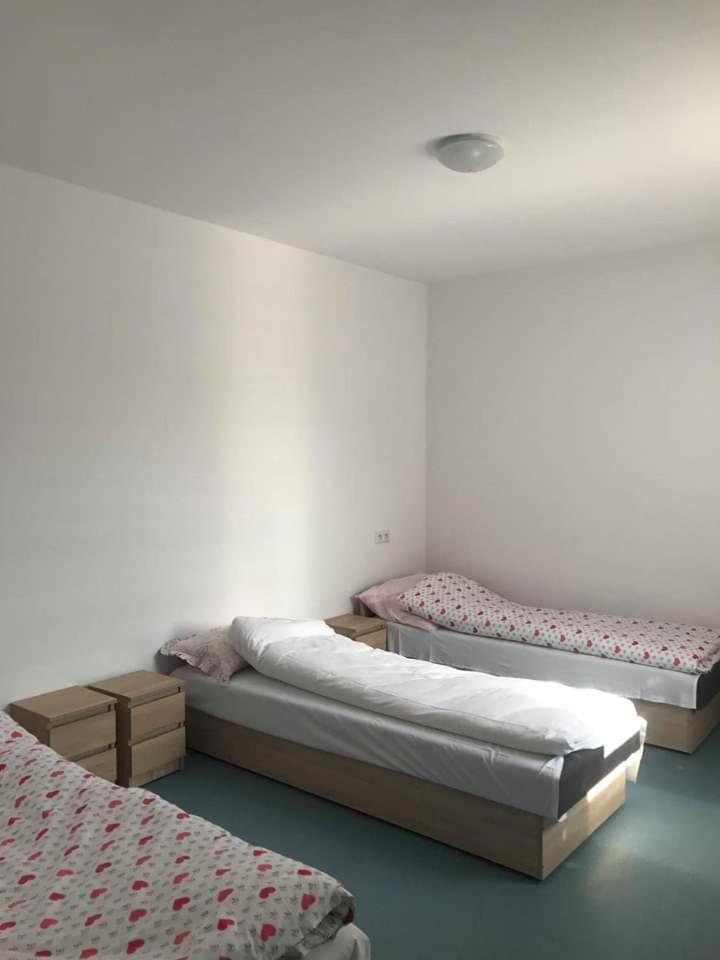 Hostel BAZA photo 3