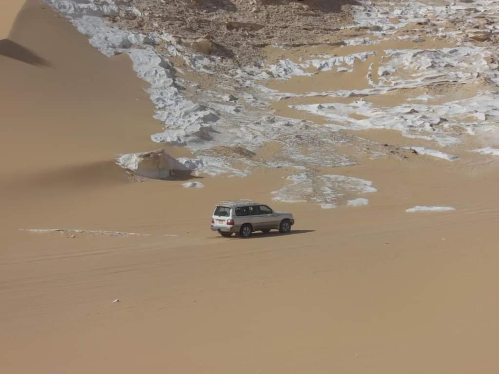 Safari Camp Bahariya Oasis photo 2