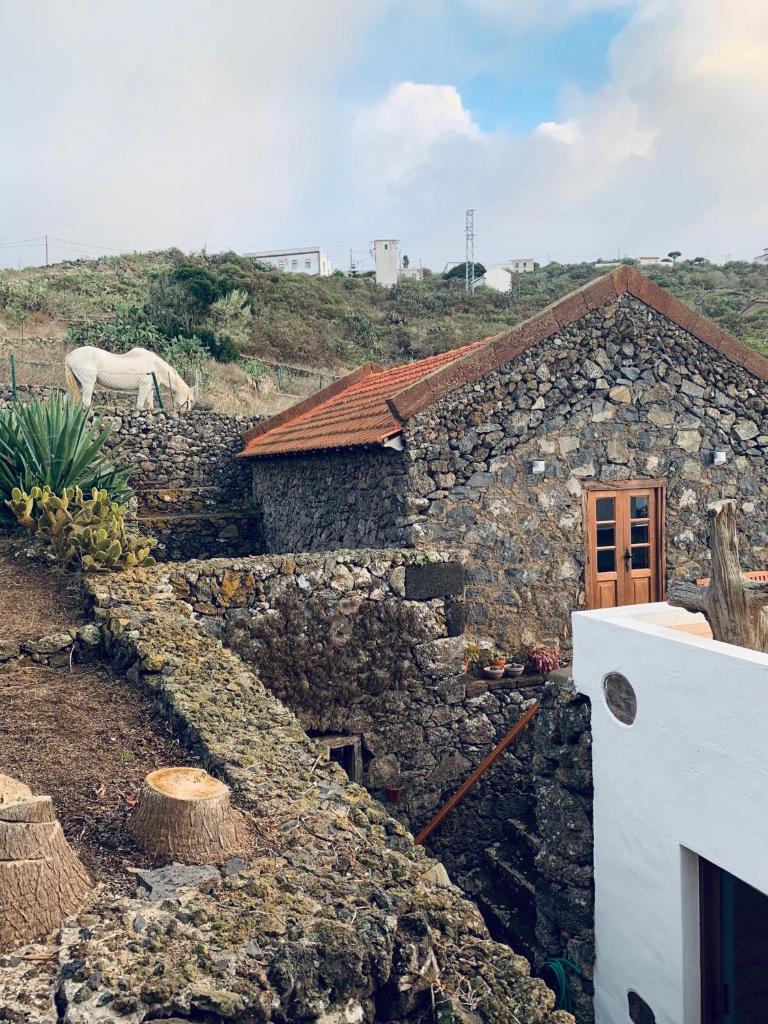 Casita Pedro González photo 1