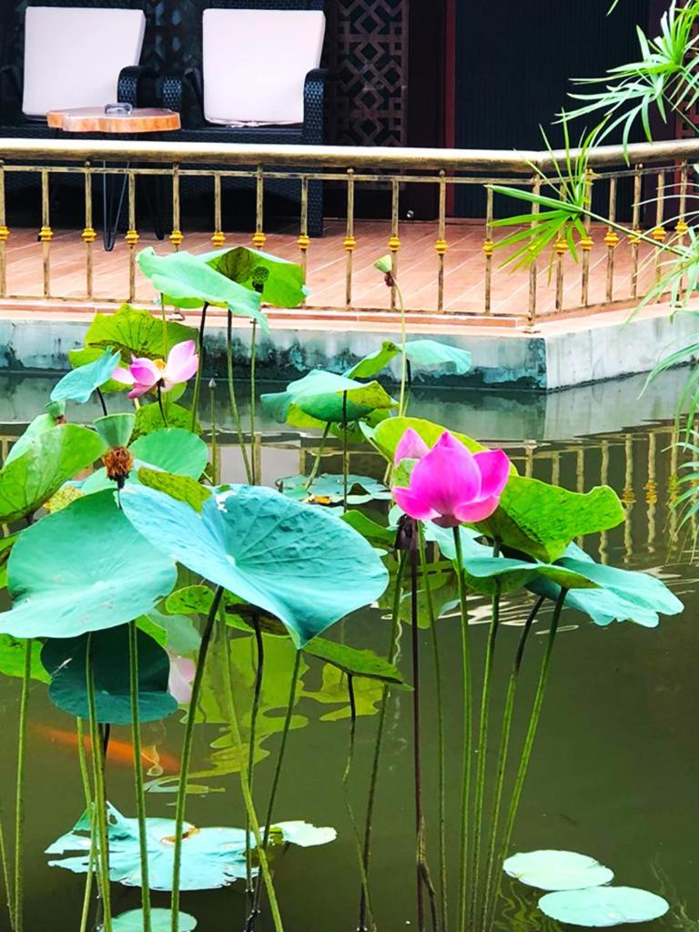 Con Khuong Resort Can Tho photo 4