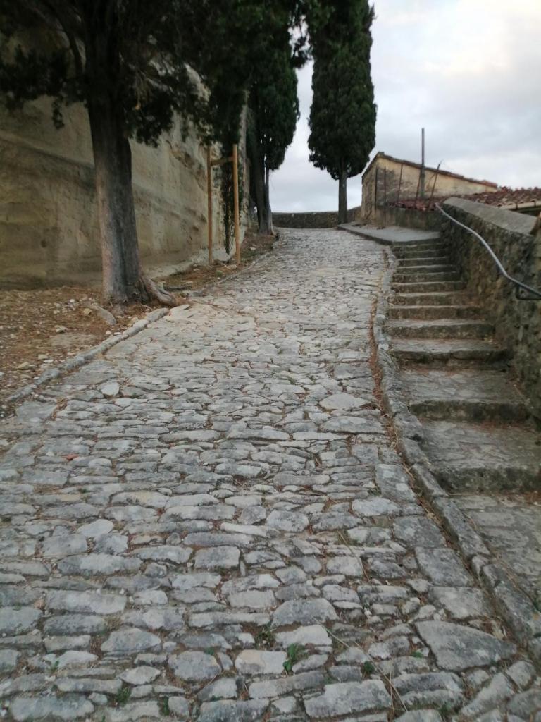 LE PETIT VENTOUX VILLAGE photo 2