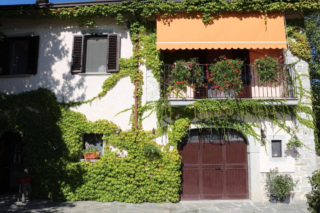 Casale Santilli photo 1