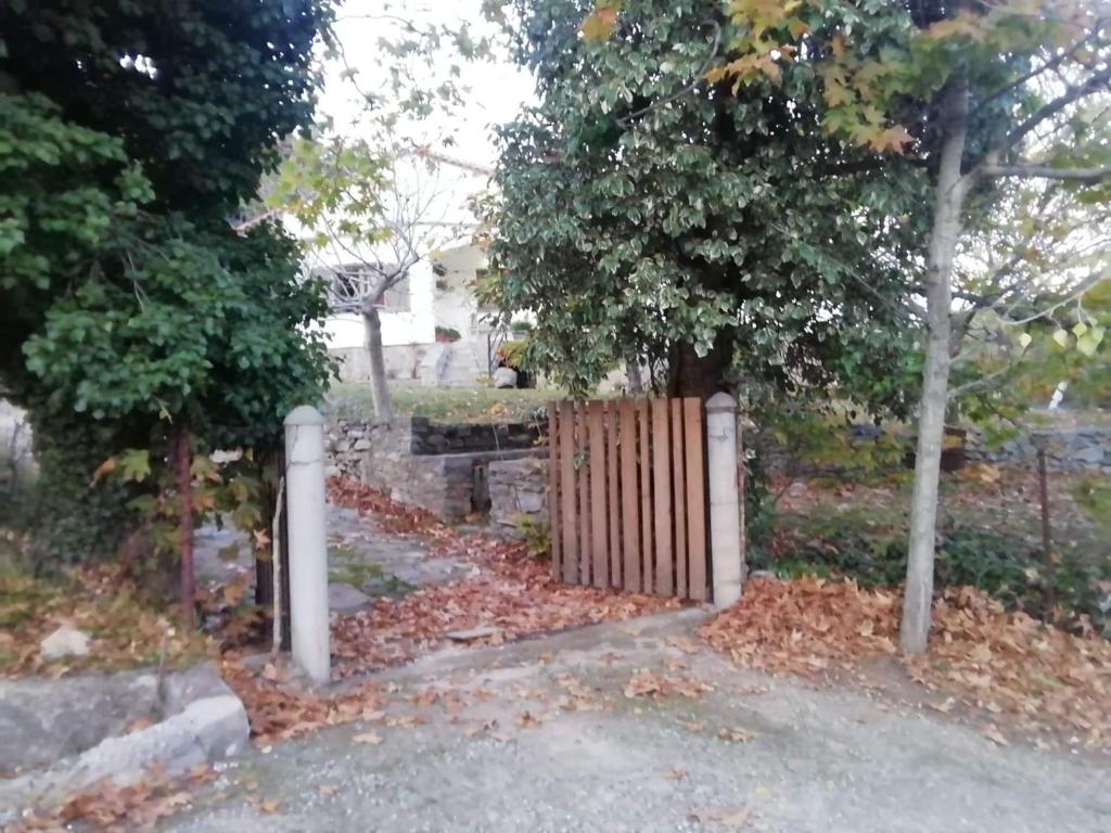 MOUNTAIN HOUSE - SETTA photo 1
