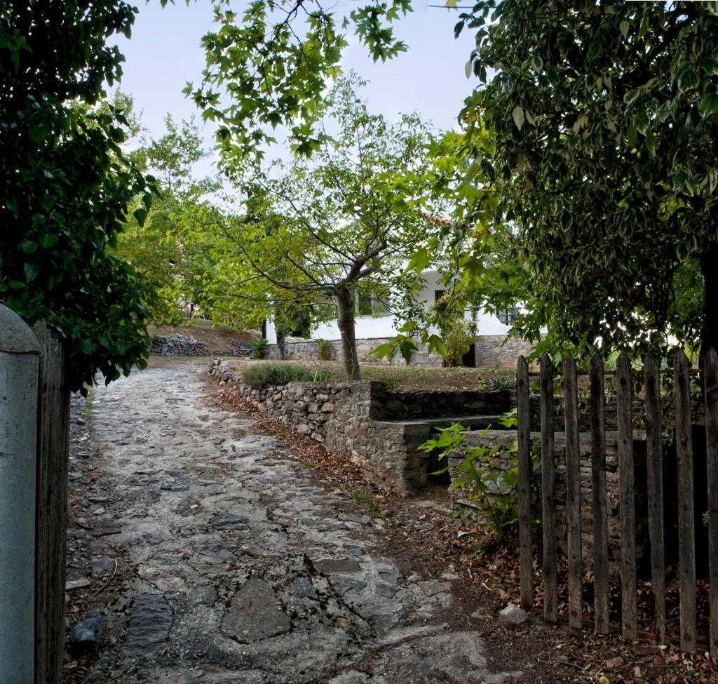 MOUNTAIN HOUSE - SETTA photo 2