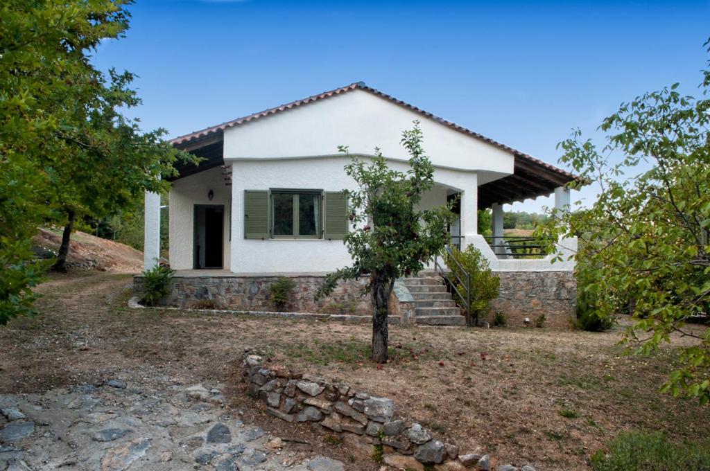 MOUNTAIN HOUSE - SETTA photo 4