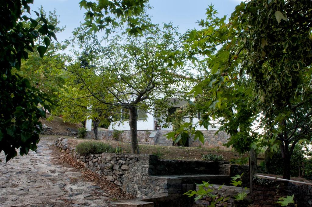 MOUNTAIN HOUSE - SETTA photo 3