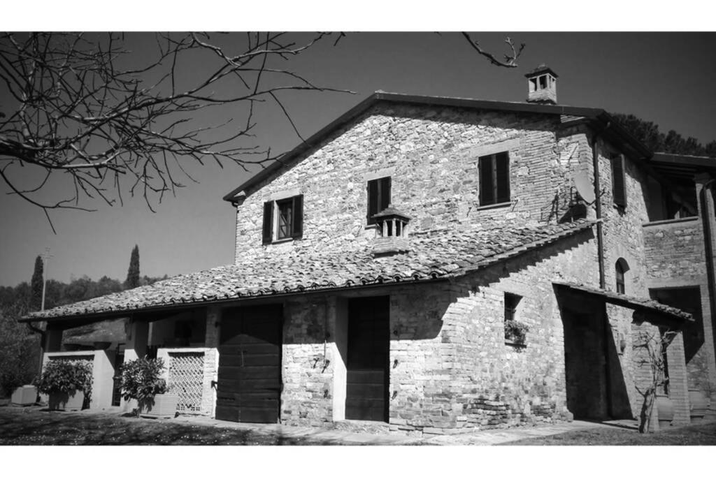 podere collesanto photo 4