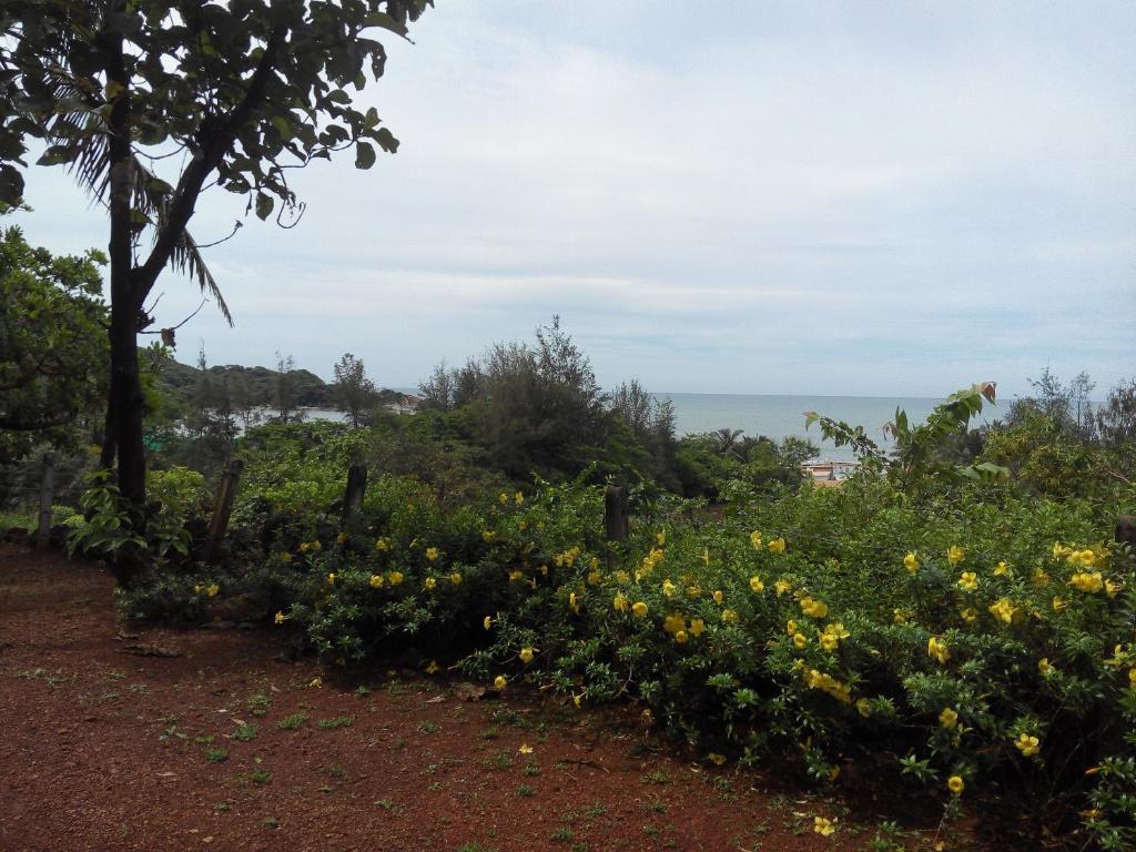 Agonda Dream View photo 3