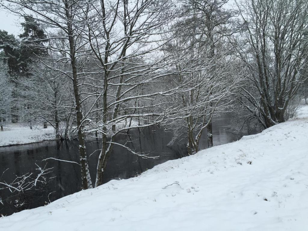 Lägenhet centralt i Värnamo vid Apladalen photo 3