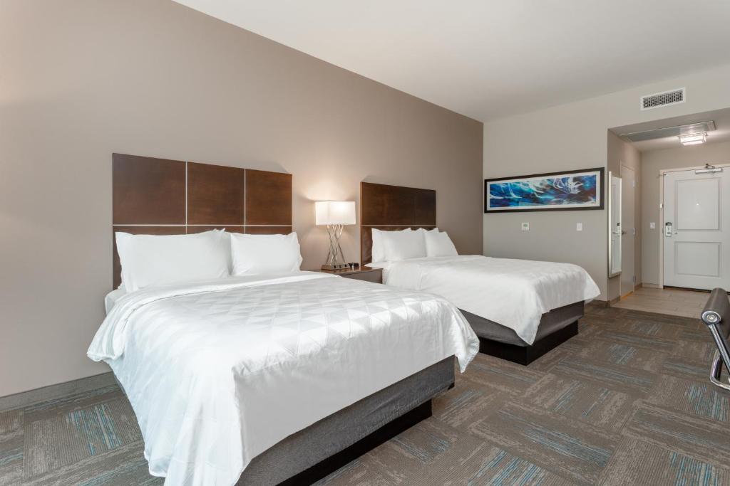 Holiday Inn & Suites - Jefferson City, an IHG Hotel photo 3