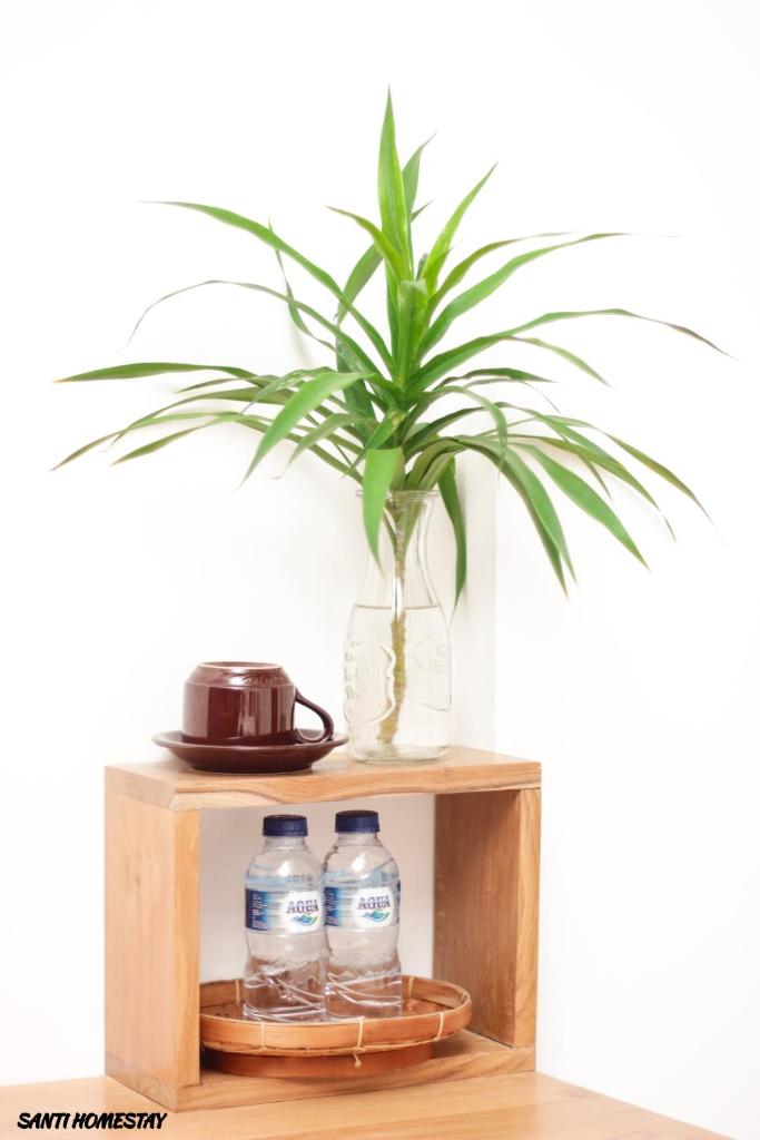 Двухместный (Номер Делюкс с кроватью размера «king-size»), Santi HomeStay