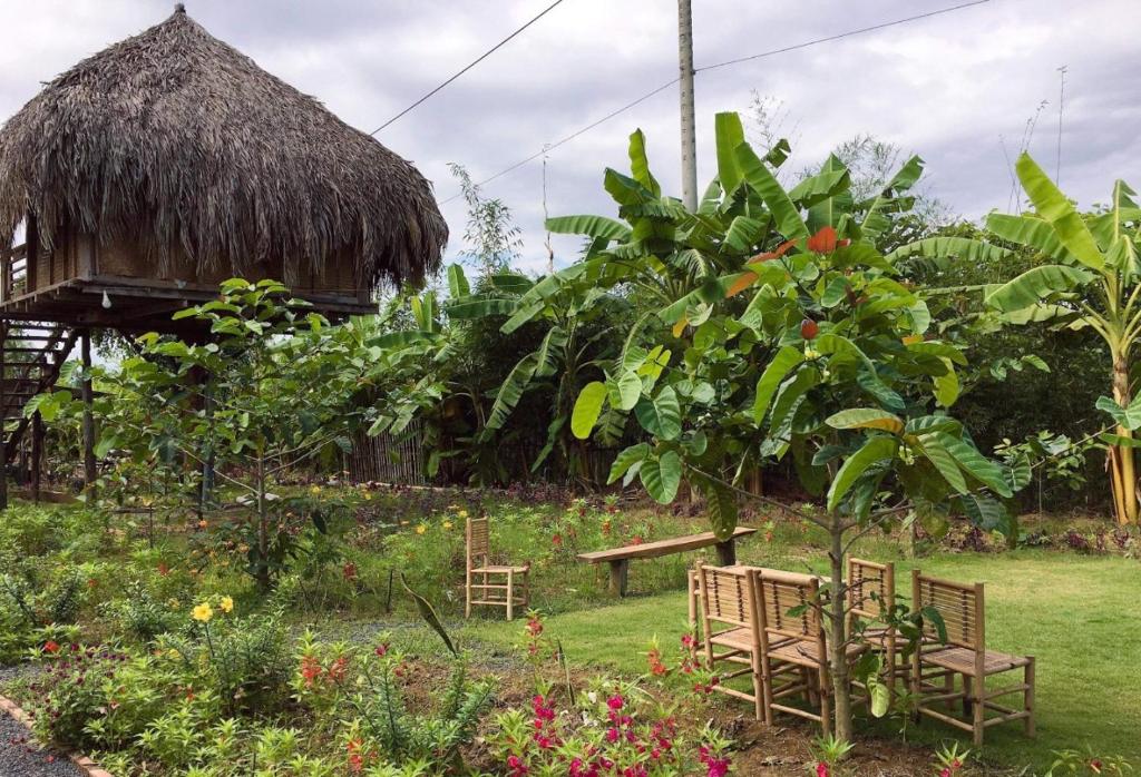 Sunny Field Eco Stilt House