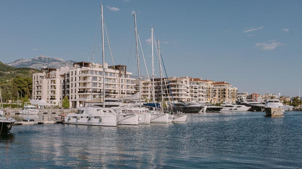 Regent Porto Montenegro photo 3
