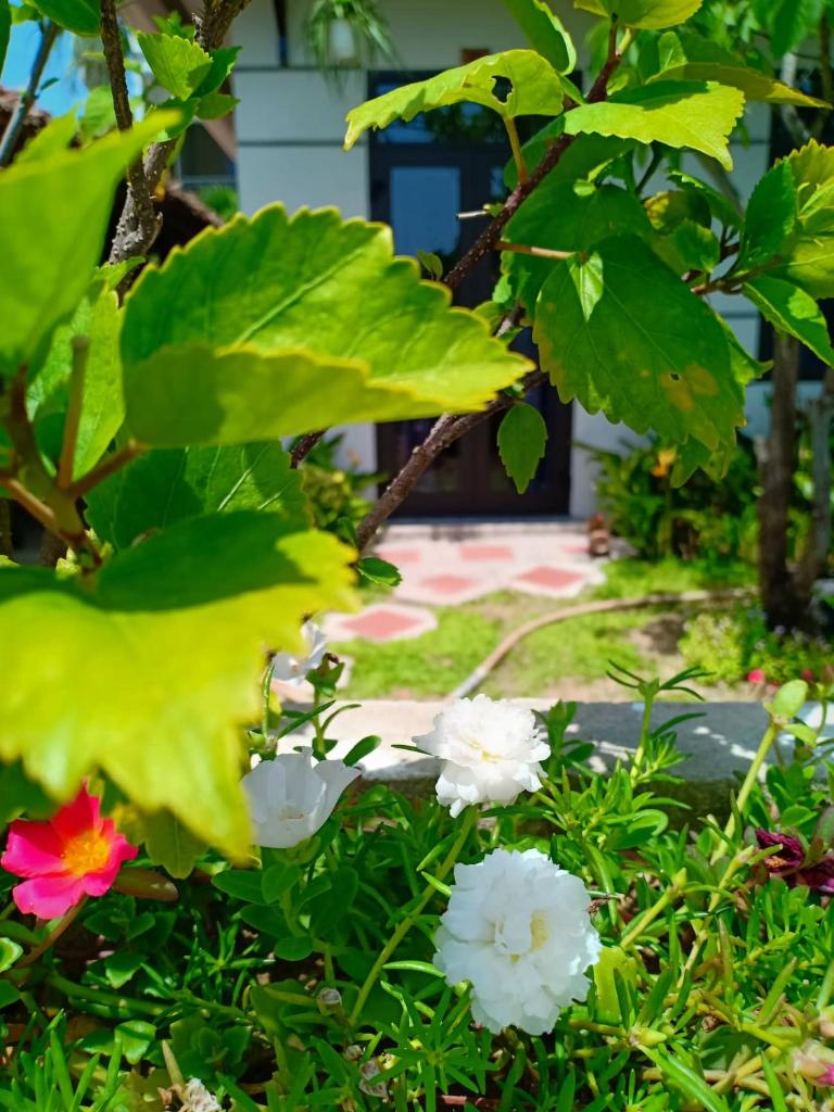 Hoi An Garden Sea Homestay