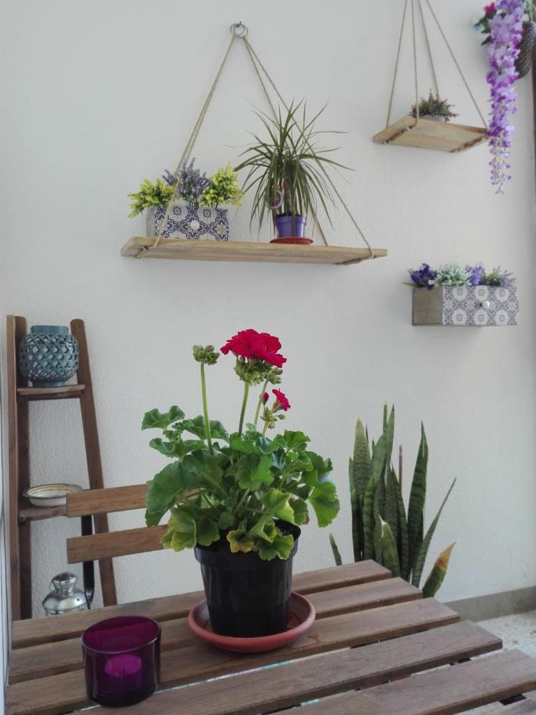 Casa Vacanze DEMETRA photo 3