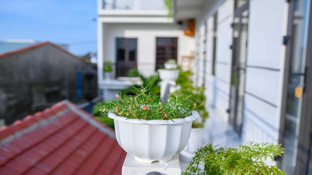 Hoi An Garden Sea Homestay