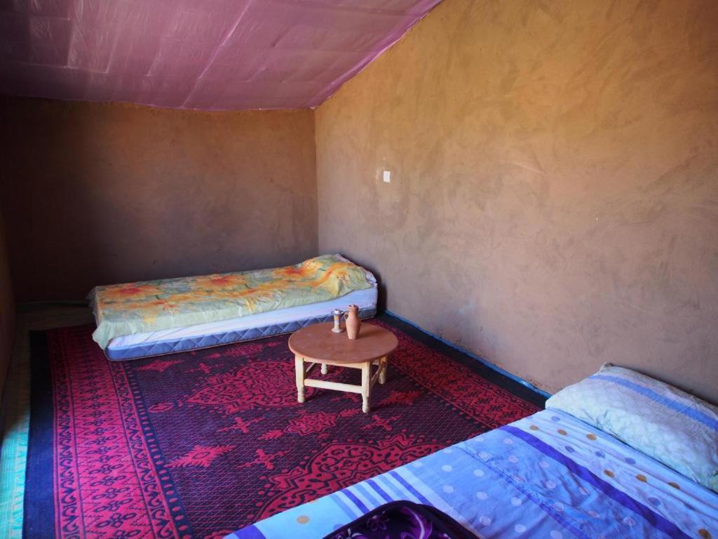 sahara desert camp tours