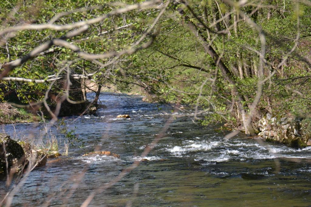 Camping Le Viaduc Ardèche photo 4