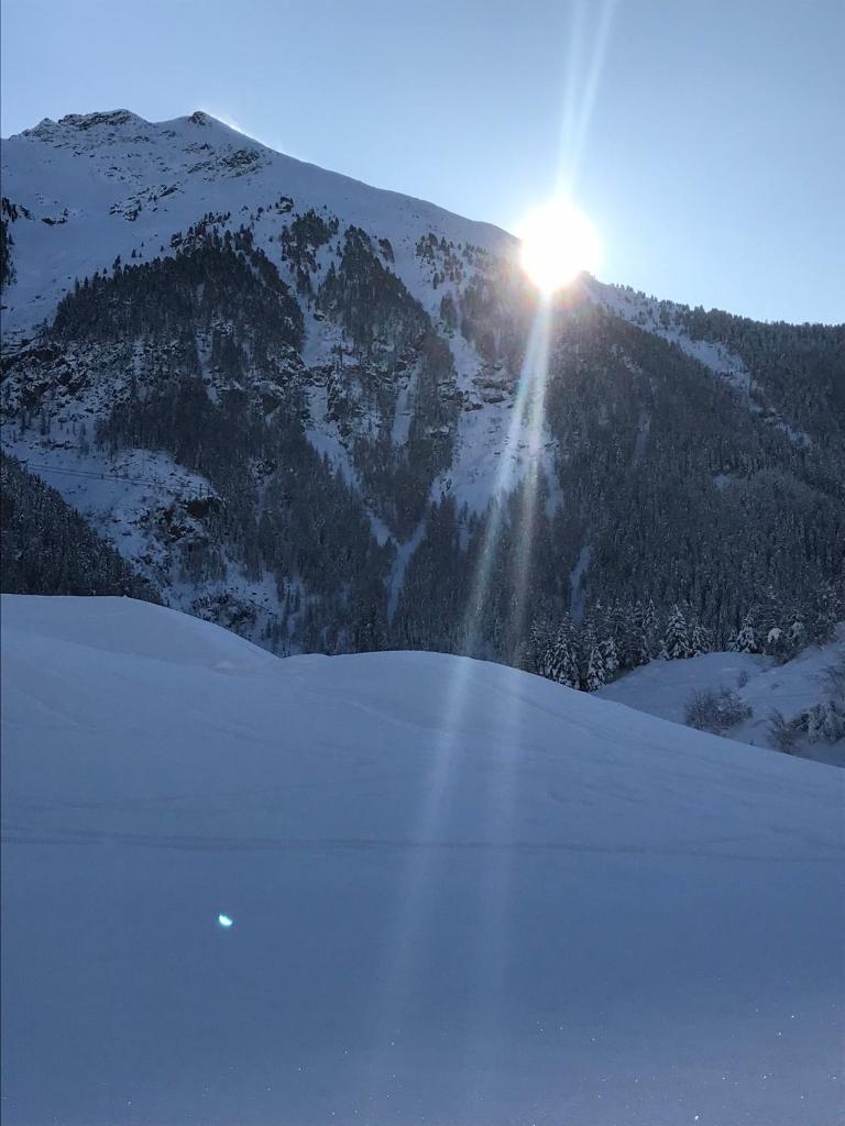 Apart Tyrol photo 4