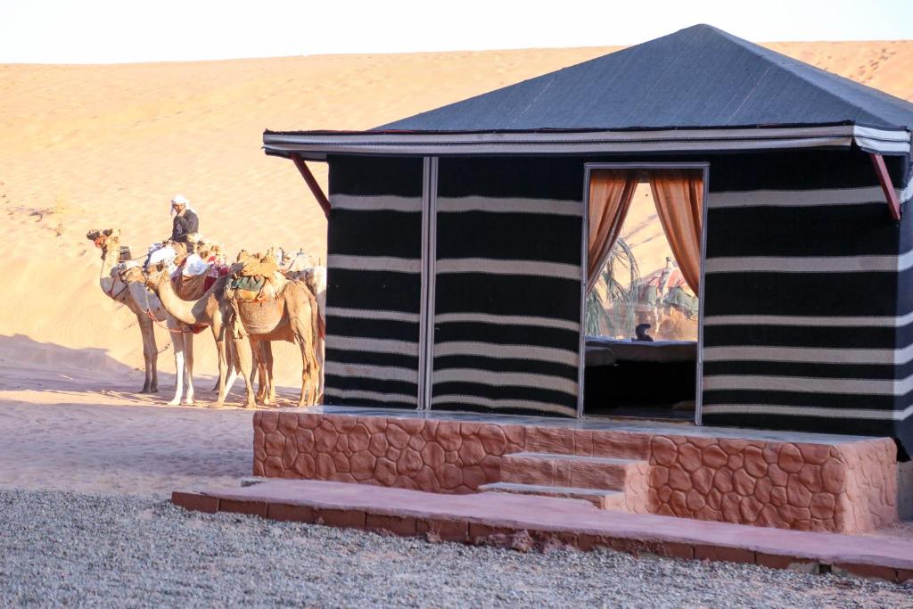 Arena Desert Camp & Adventurers photo 3