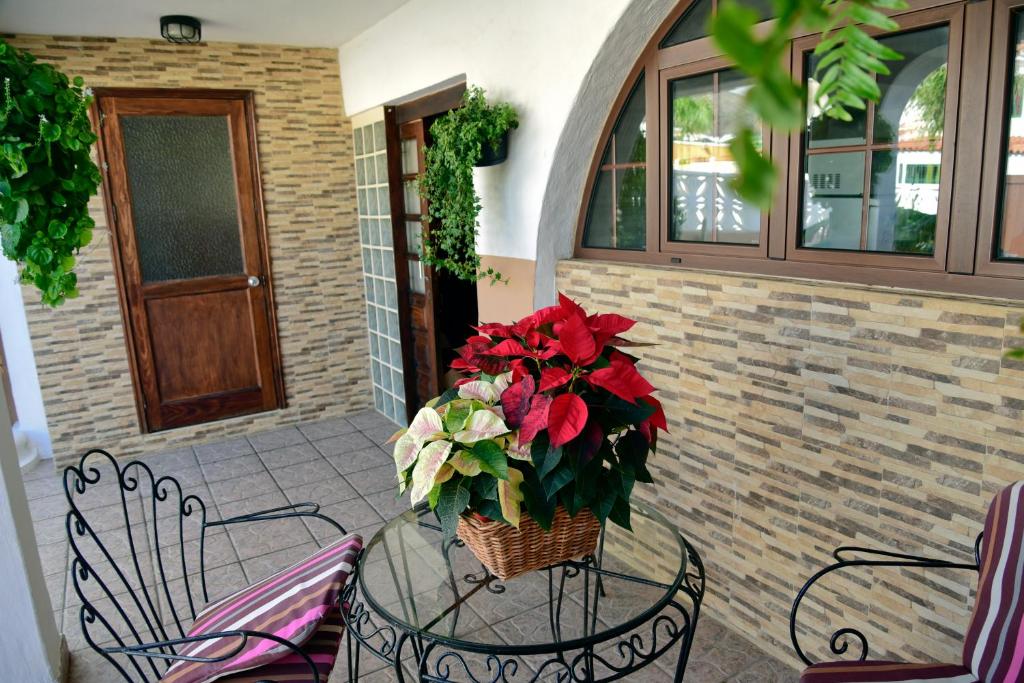 Lagaete Duplex photo 4