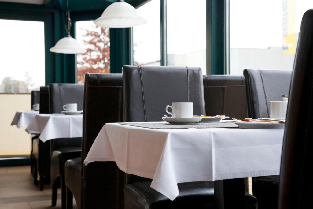 City-Hotel photo 4