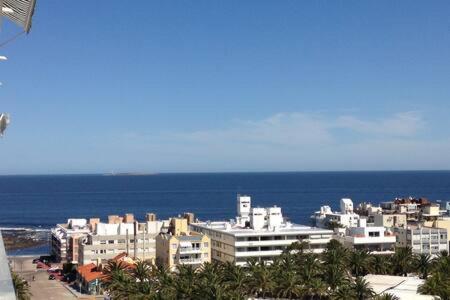 Espléndida vista en el corazón de Punta del Este photo 3