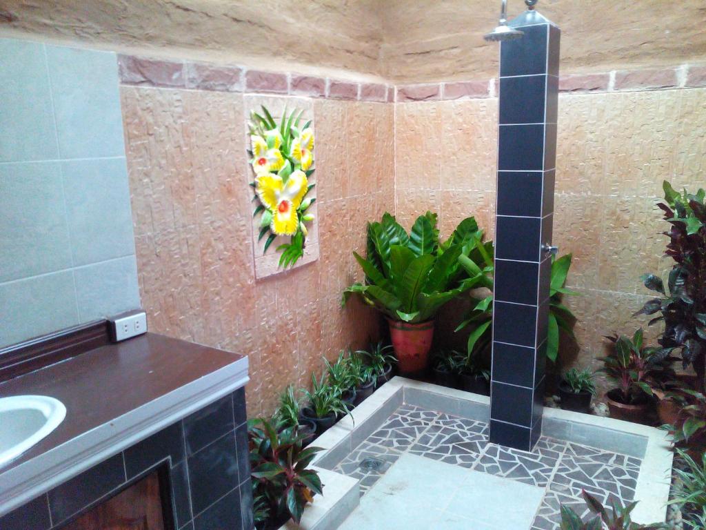 Sala Done Khone Hotel photo 3