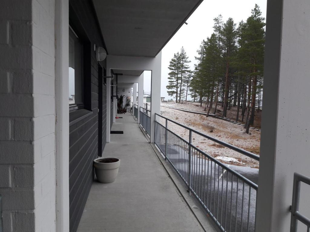 Meritähti 205 photo 2
