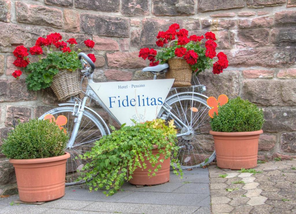 Hotel Fidelitas photo 4