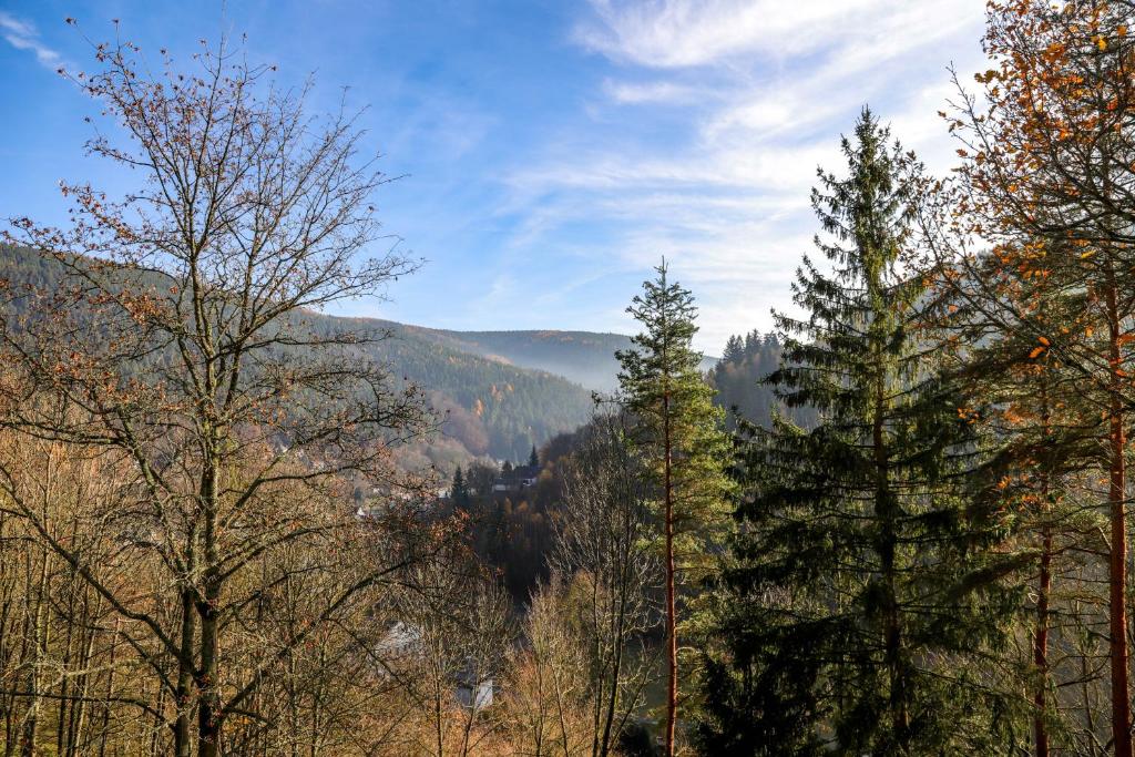Ferienhaus Weise photo 2