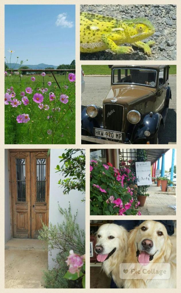 Semi Soet Self Catering House photo 4