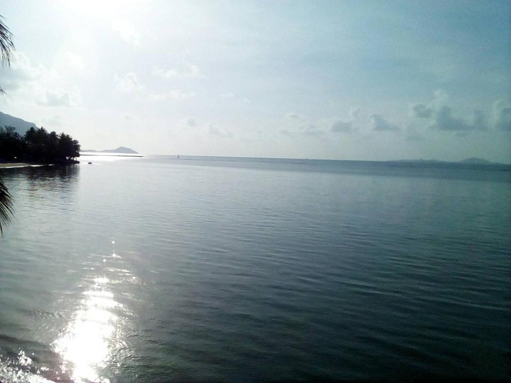 Phangan Island photo 3
