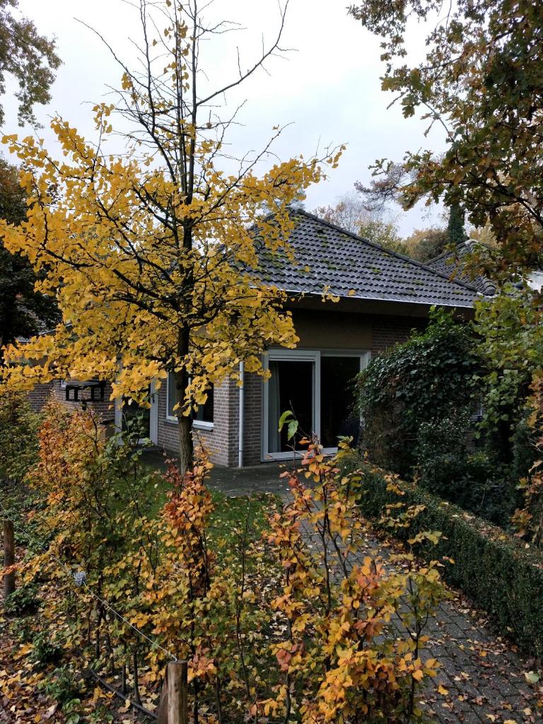 Bungalow 6 personen photo 3