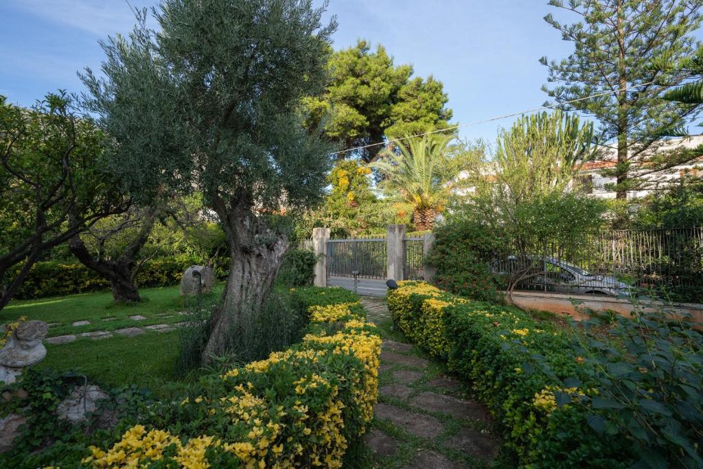 Villa Costanza photo 4