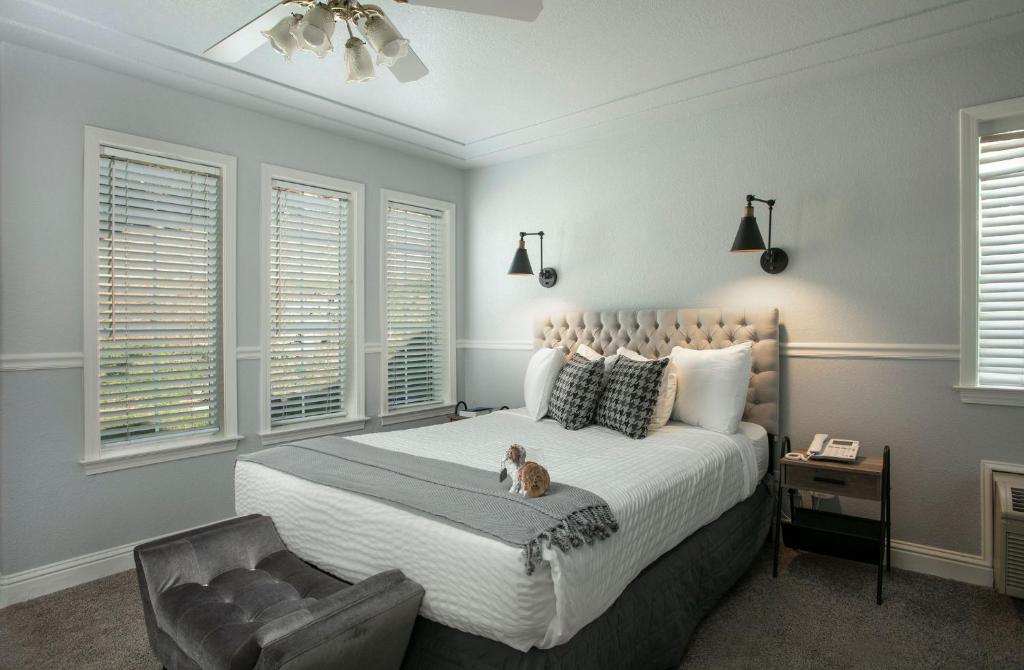 Hounds Tooth Inn photo 2