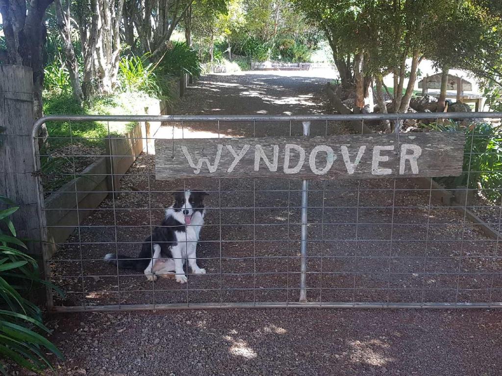 Wyndover Mountain Retreat photo 1