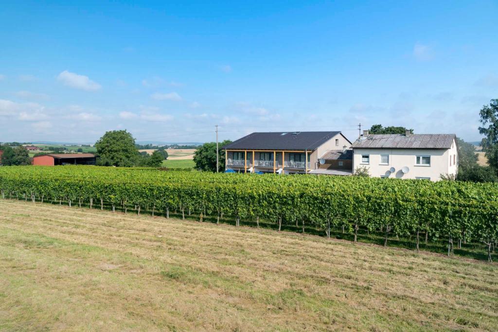 Winzerhof Schmid photo 1